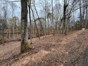 Property photo for land for sale in Allen County Kentucky