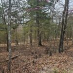 Property photo for land for sale in Ozark County Missouri