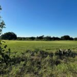 Property photo for land for sale in Brown County Texas