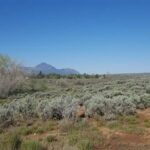 Property photo for land for sale in Montezuma County Colorado