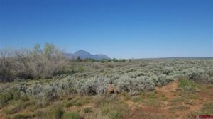 Property photo for land for sale in Montezuma County Colorado