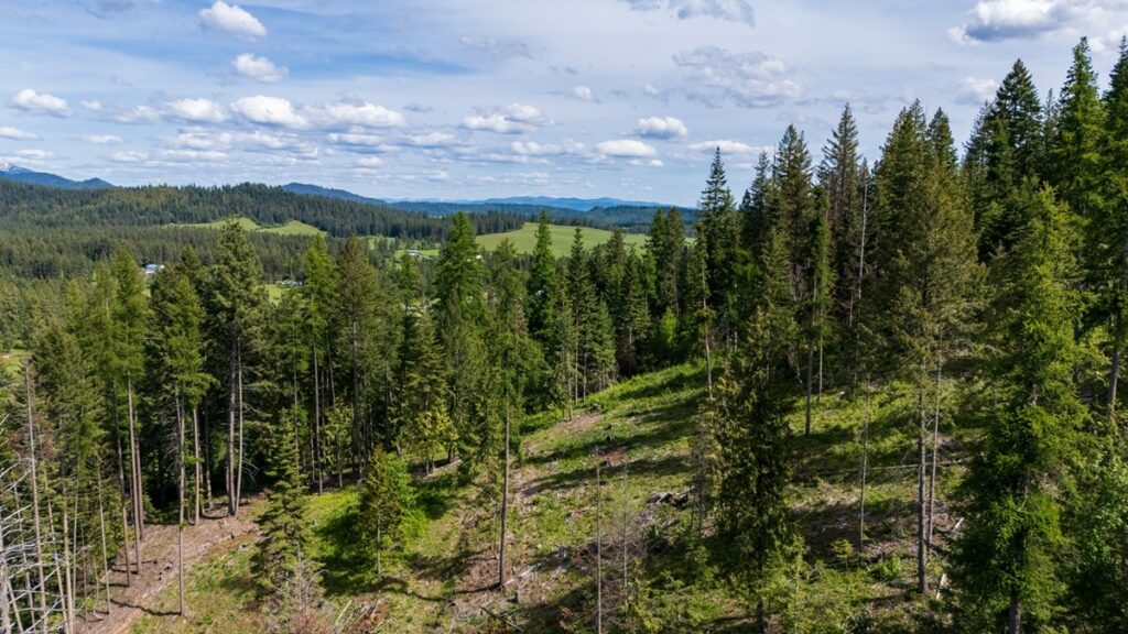 Property photo for land for sale in Kootenai County Idaho