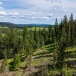 Property photo for land for sale in Kootenai County Idaho