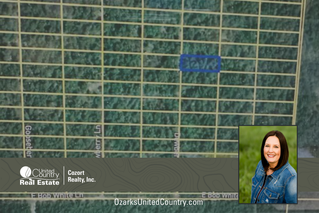 Property photo for land for sale in Izard County Arkansas