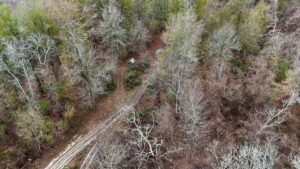 Property photo for land for sale in Catahoula County Louisiana