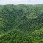 Property photo for land for sale in Patrick County Virginia