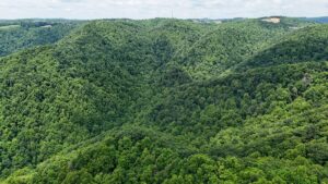 Property photo for land for sale in Patrick County Virginia