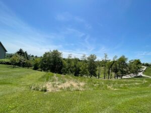 Property photo for land for sale in Monroe County Ohio