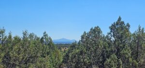 Property photo for land for sale in Coconino County Arizona