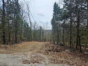 Property photo for land for sale in Ozark County Missouri