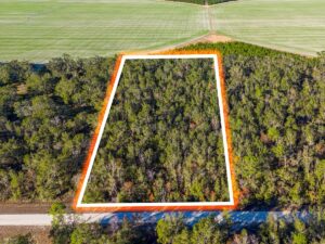 Property photo for land for sale in Suwannee County Florida