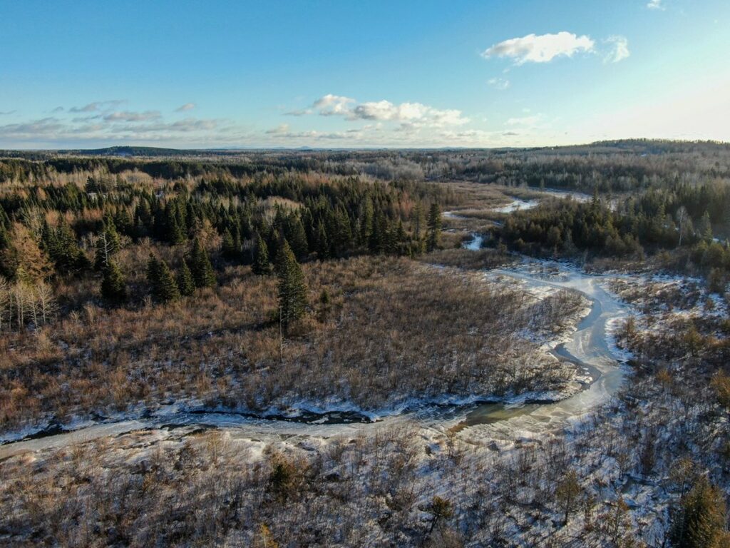 Property photo for land for sale in Aroostook County Maine