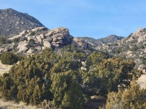 Property photo for land for sale in Bernalillo County New Mexico