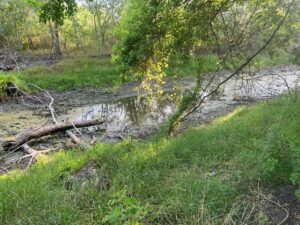 Property photo for land for sale in Live Oak County Texas