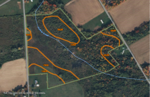 Property photo for land for sale in Oneida County New York