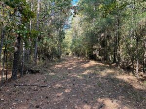 Property photo for land for sale in Franklin County Mississippi