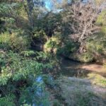 Property photo for land for sale in Amite County Mississippi