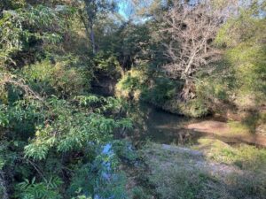 Property photo for land for sale in Amite County Mississippi