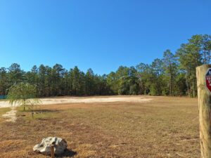 Property photo for land for sale in Levy County Florida