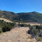 Property photo for land for sale in Torrance County New Mexico