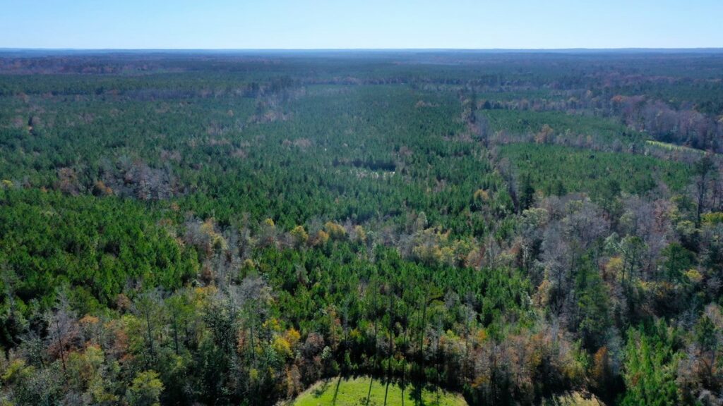 Property photo for land for sale in Conecuh County Alabama