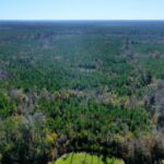 Property photo for land for sale in Conecuh County Alabama