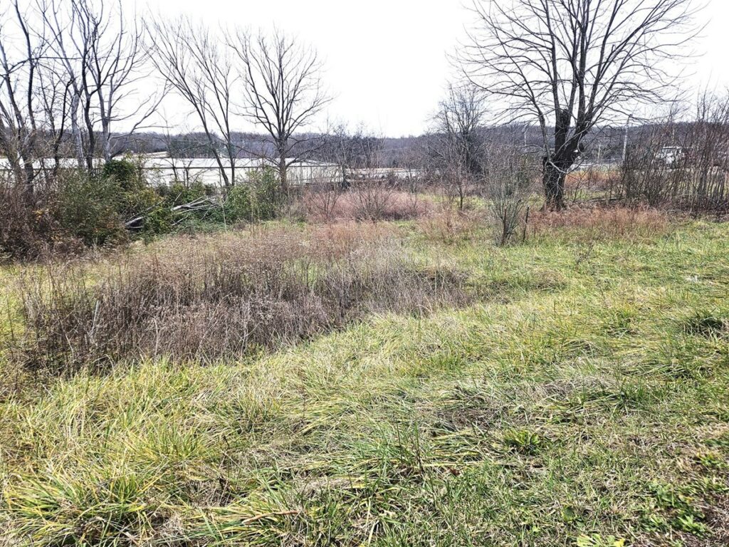 Property photo for land for sale in Texas County Missouri