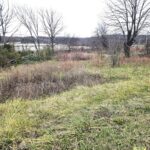 Property photo for land for sale in Texas County Missouri