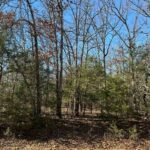 Property photo for land for sale in Sharp County Arkansas