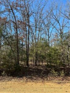 Property photo for land for sale in Sharp County Arkansas