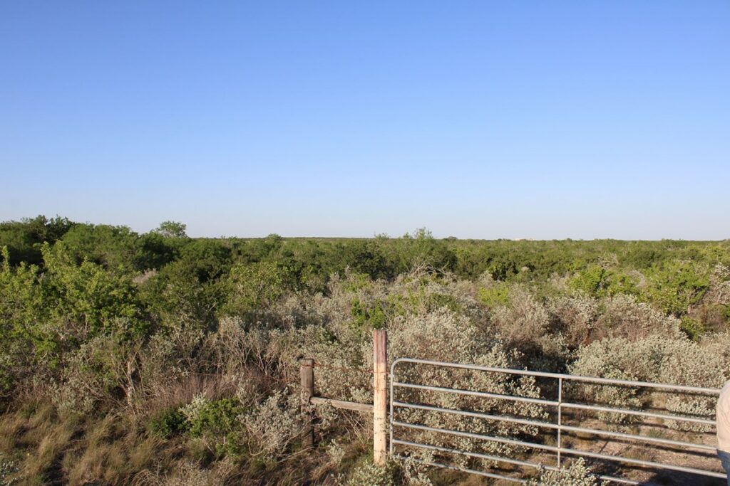 Property photo for land for sale in Duval County Texas