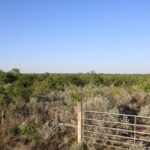 Property photo for land for sale in Duval County Texas