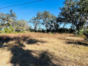 Property photo for land for sale in Levy County Florida