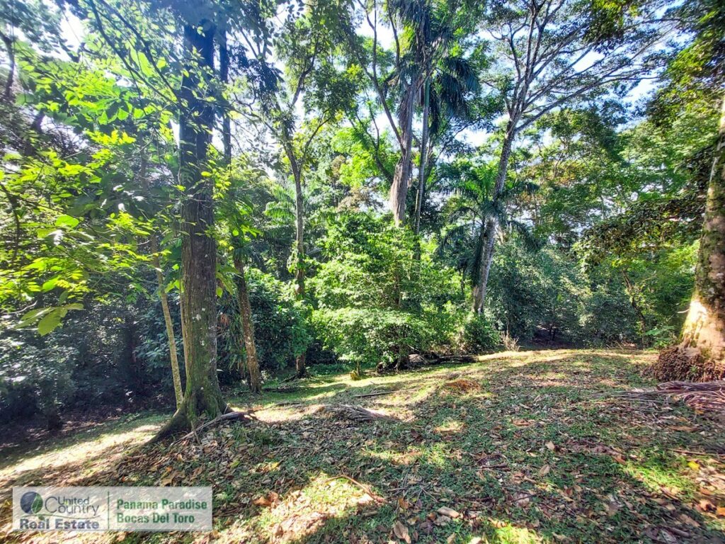 Property photo for land for sale in  County Panama