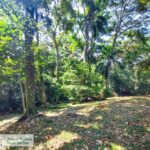 Property photo for land for sale in  County Panama