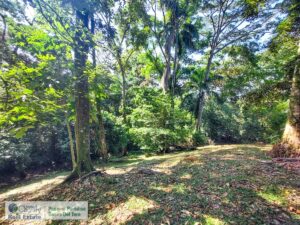 Property photo for land for sale in  County Panama