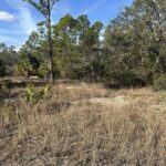 Property photo for land for sale in Dixie County Florida