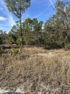 Property photo for land for sale in Dixie County Florida