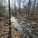 Property photo for land for sale in Le Flore County Oklahoma