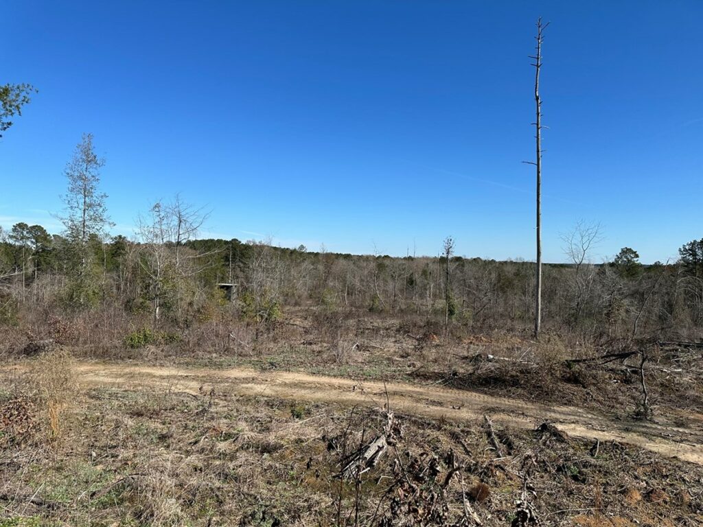 Property photo for land for sale in Union County Louisiana