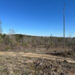 Property photo for land for sale in Union County Louisiana