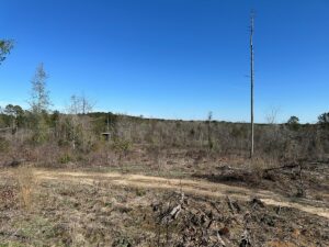 Property photo for land for sale in Union County Louisiana