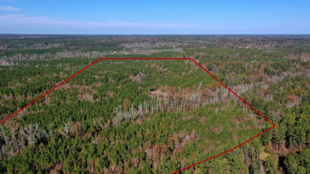 Property photo for land for sale in Conecuh County Alabama