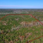 Property photo for land for sale in Conecuh County Alabama