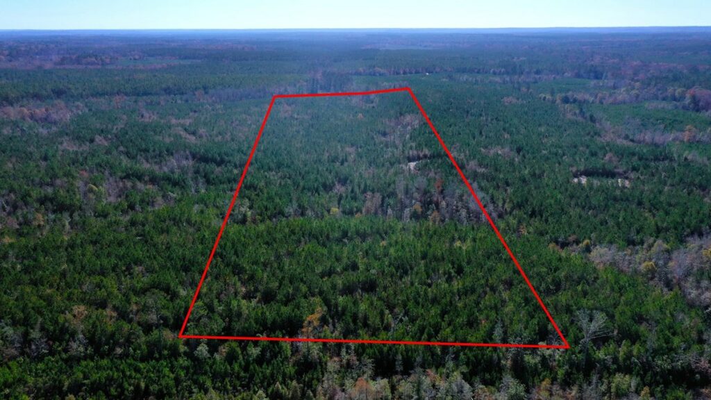 Property photo for land for sale in Conecuh County Alabama