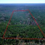 Property photo for land for sale in Conecuh County Alabama