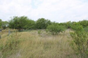 Property photo for land for sale in Nueces County Texas