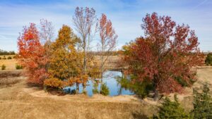 Property photo for land for sale in Wood County Texas