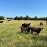 Property photo for land for sale in Latimer County Oklahoma