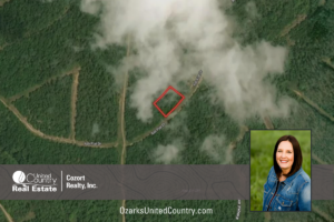 Property photo for land for sale in Izard County Arkansas